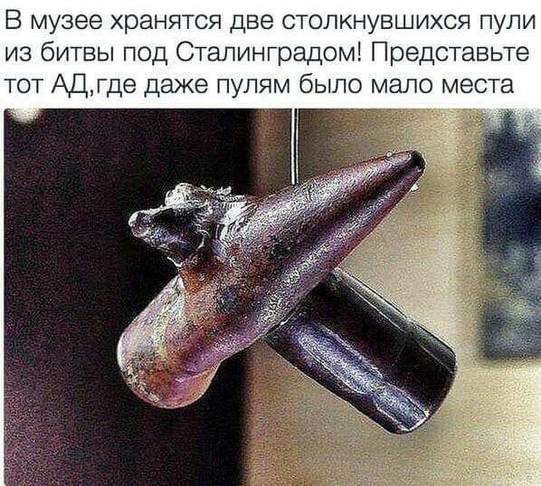 Дом, разделённый войной в Москве