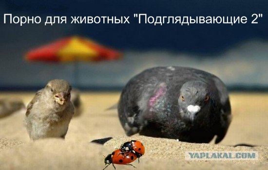 Диалог