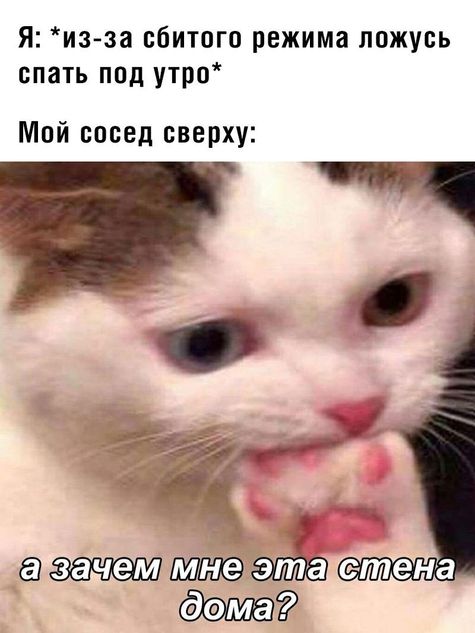 Жиза (наверное с каждым бывало)