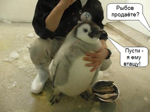 Так себе картинки 20.08.21