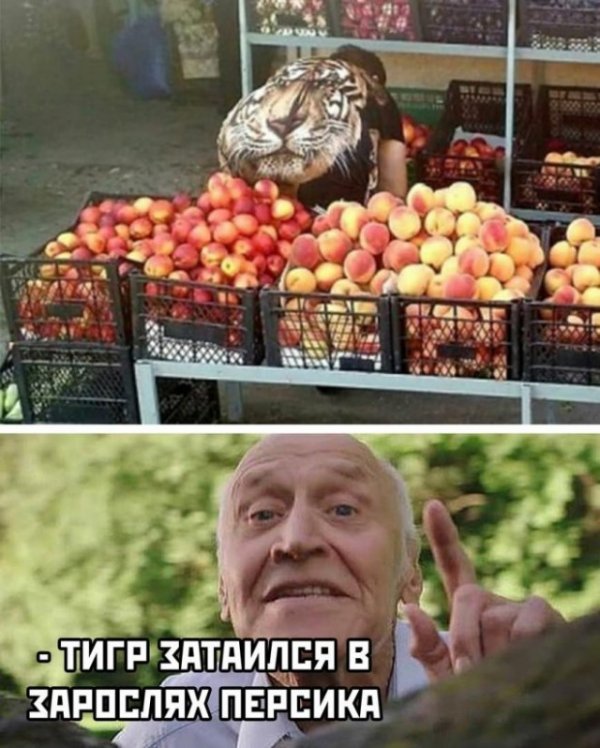 Прикольные и просто красивые картинки 15.07.2022