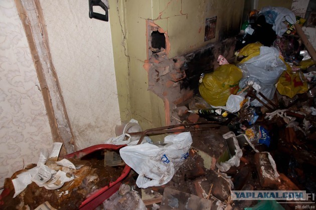 Все, что вы хотели знать об Эстонии...