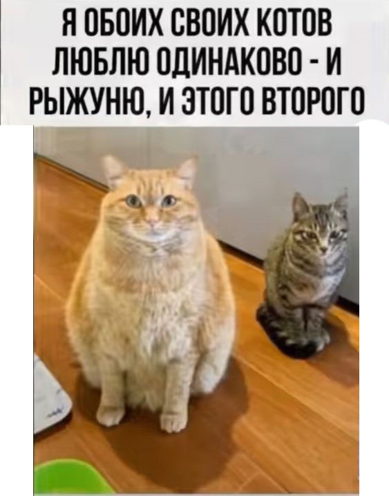 Так себе картинки 16.06.23