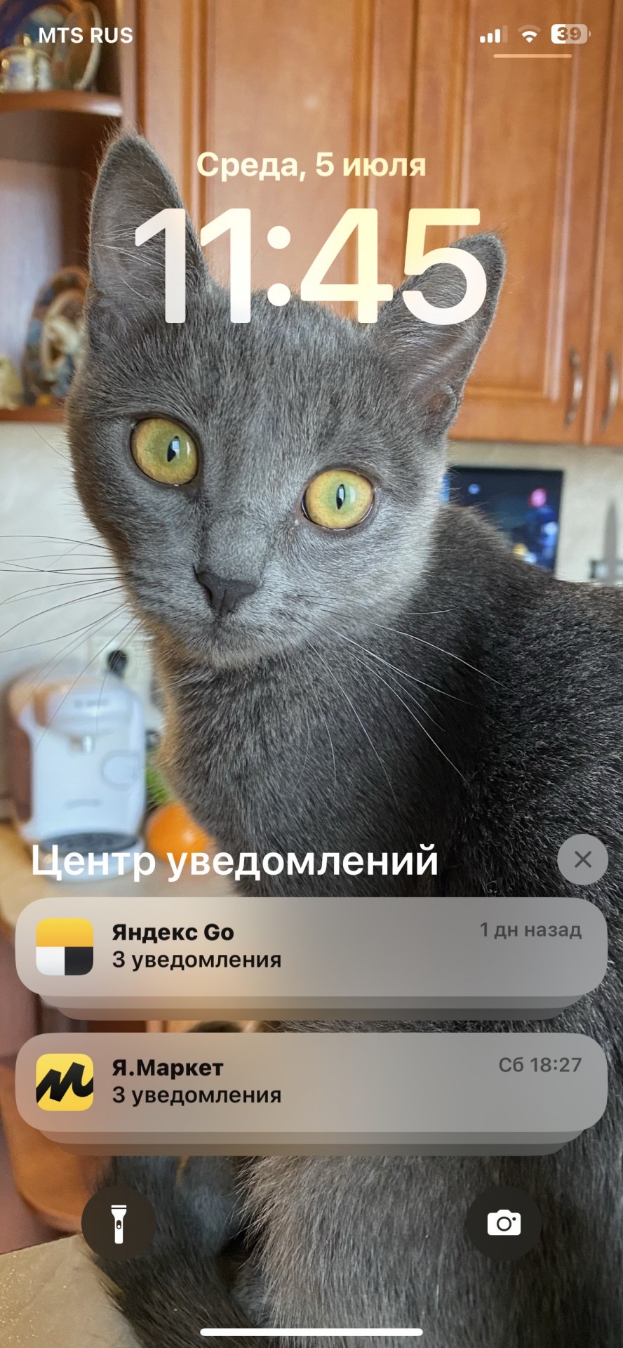 Ниссан кот