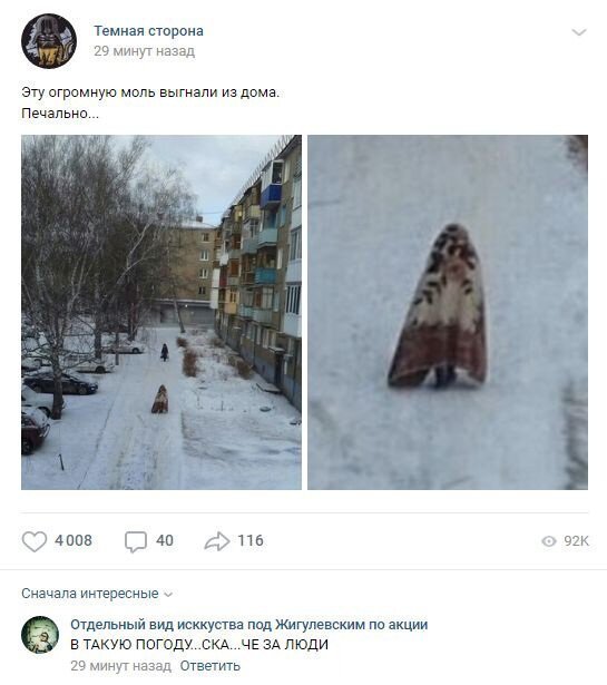 Чтобы не пропало на старых антресолях: вещи из старых ковров и гобеленов