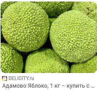 Адаму Кадырову присвоили звание почётного гражданина Донецка.