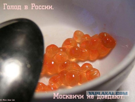 Вот что купила Жена в магазинен на 1500 рублей!