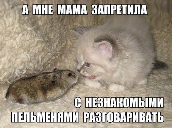 Так себе картинки 01.04.24