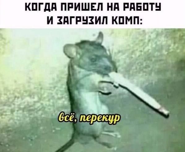 19193449.jpg