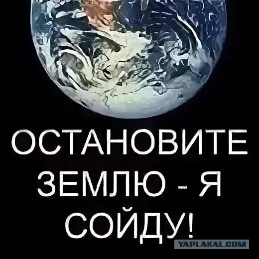 Так себе картинки 11.10.24
