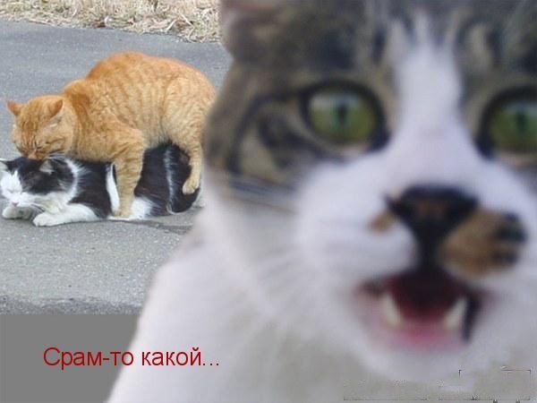 Просьба не смеяться!