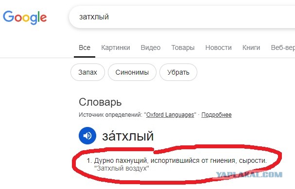 Нейро, напиши мне новую жизнь