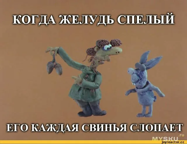 Спелость & Зрелость (двойной расклад) 26.02.2025