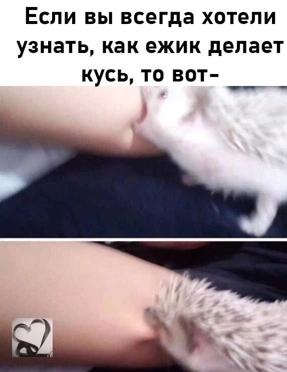 Так себе картинки 26.03.25