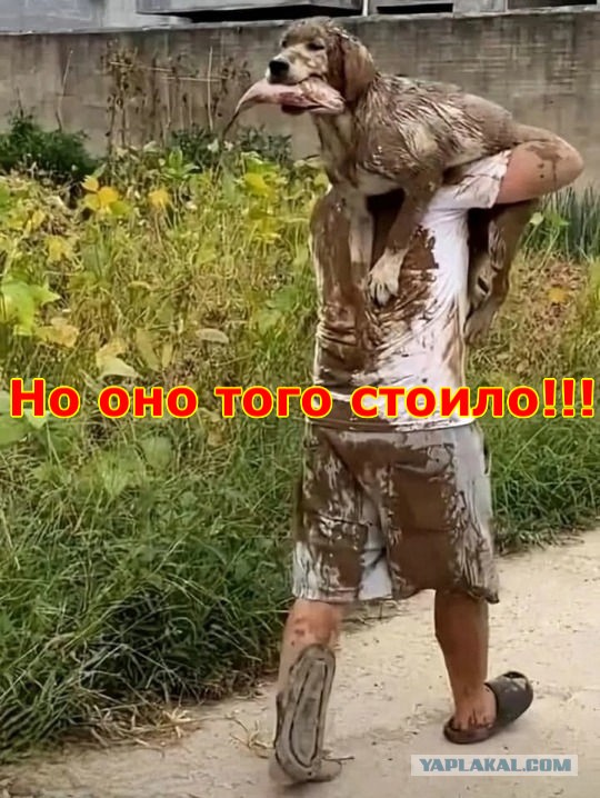 Нуштош 10.04.2025. Временное помутнение рассудка (s3e10)