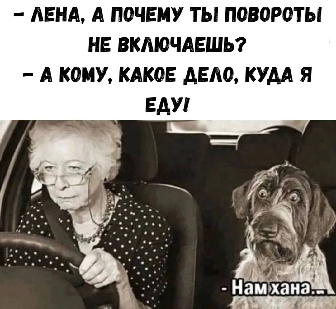 20105449.jpg
