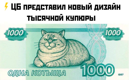 Весёлый полтишок 22.07.25