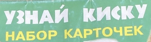 Ласкает свою киску