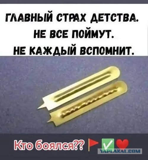 20519449.jpg