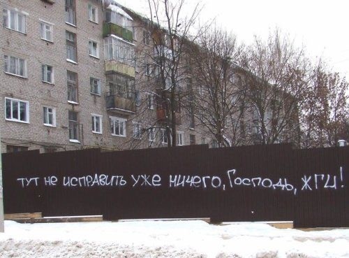 Бездомные собаки будут раздавать бесплатный Wi-Fi в Екатеринбурге