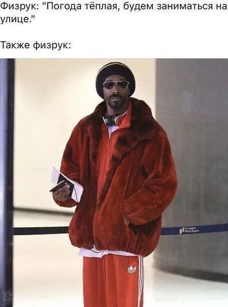 20785449.webp