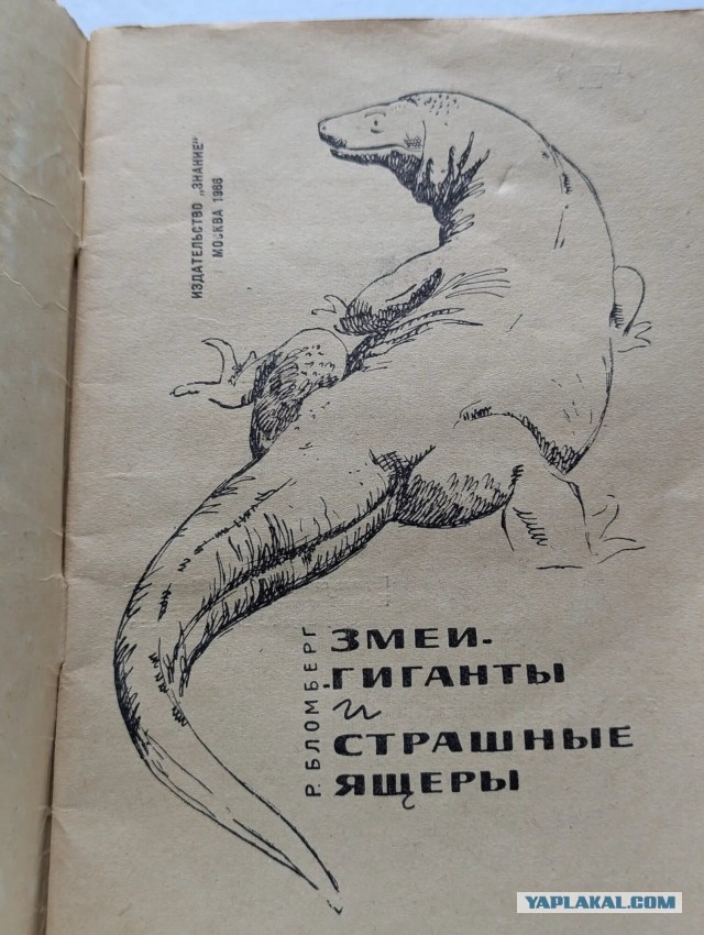 Комодский варан: Мегаящеры, способные завалить буйвола. Весь остров дрожит от их тирании