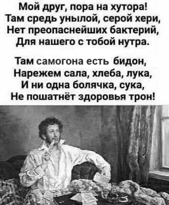 Картинки для деградации 293 (разной степени свежести)