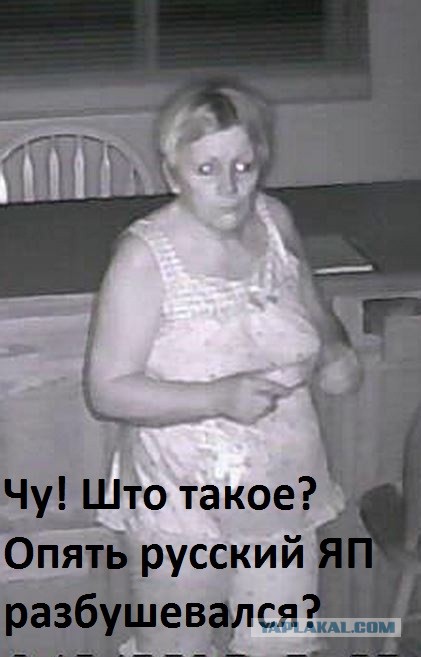 IP камеры. Сливаем сами себя.