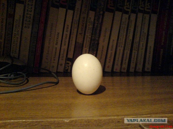 Как поставить сырое яйцо на кончик