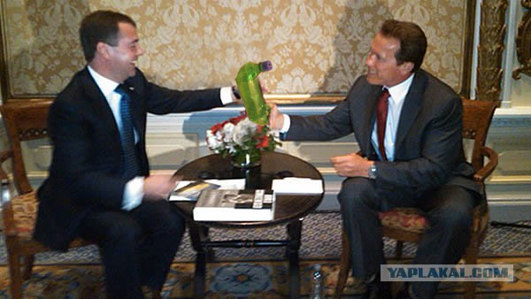 Медведев и Шварценеггер