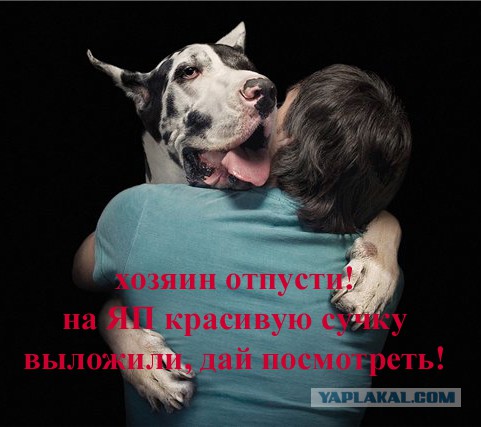 Тема для юмора