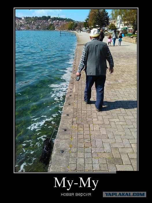 Подборка прикольных фото на начало мая