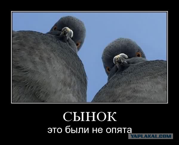 С миру по нитке. Демотиваторов чуть