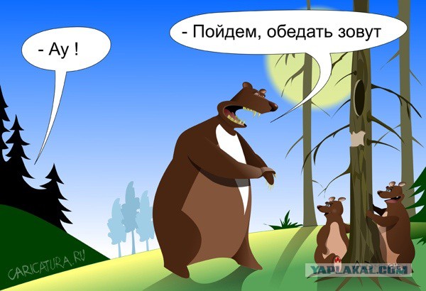 Путин подписал указ об ответных санкциях