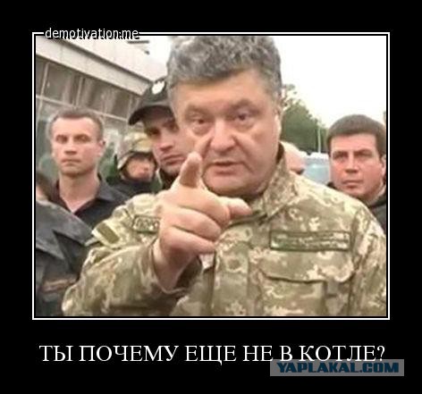Меры России в ответ на санкции ЕС вызвали