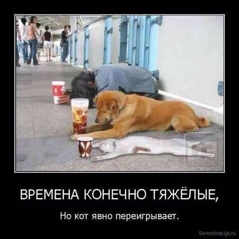 Демотиваторов пост