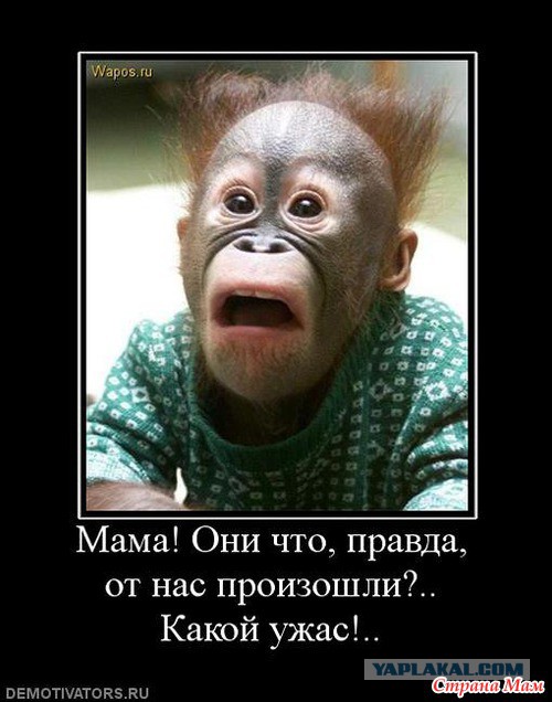 Ничего святого, просто бизнес
