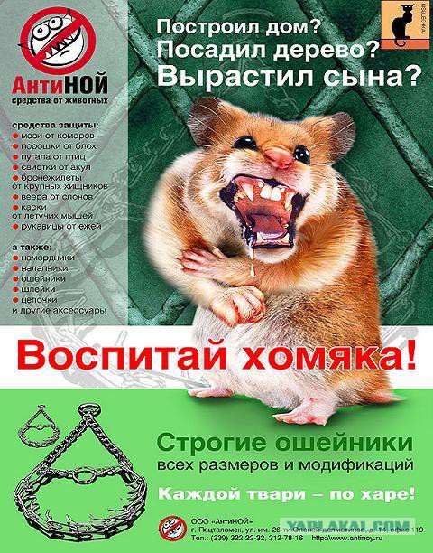 Забавные картинки.