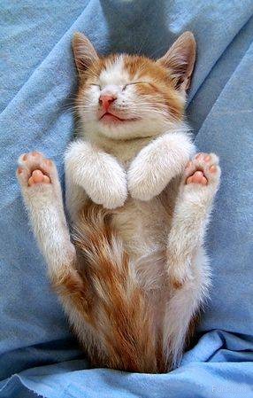 Спят усталые ...