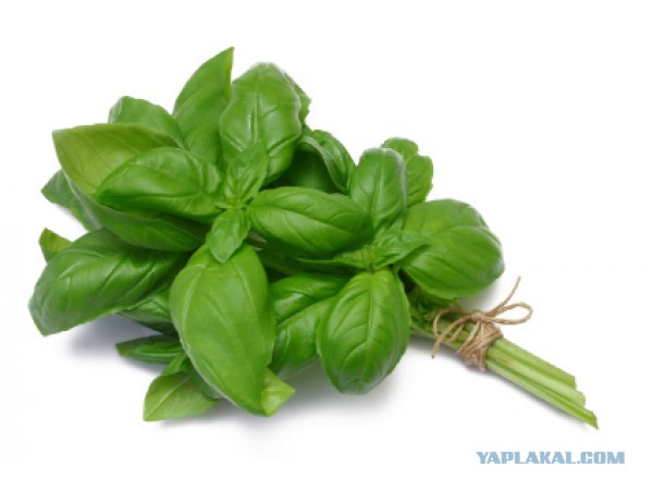 Деревянная ванна своими руками