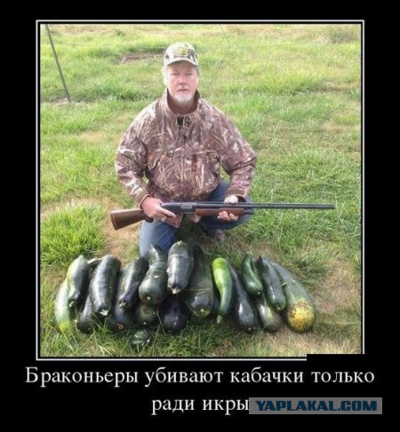 Приколы из сети