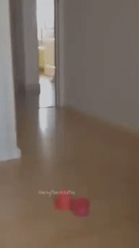 Как выглядят ЯПовцы, выискивающие баяны