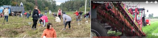 Подборка залипательного видео