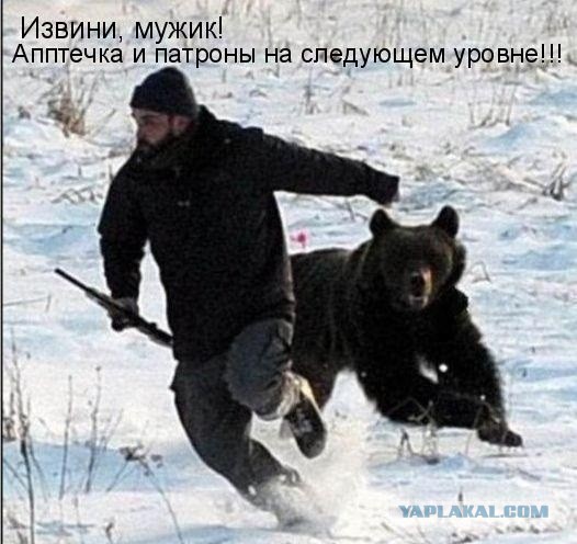 Раньше бурые медведи питались львами и тиграми