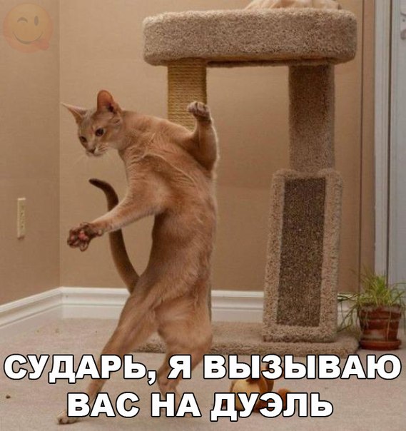 Мохнатые беспредельщики