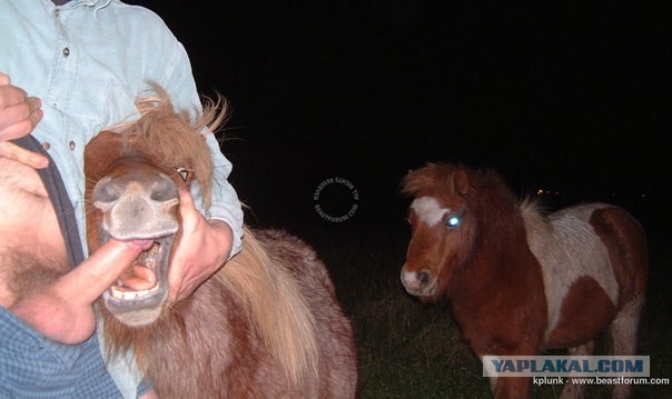 Для поднятия настроения - 7