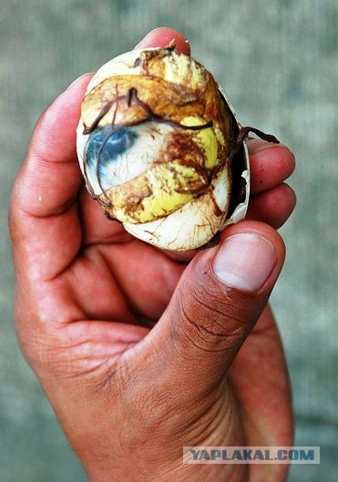 Теперь вы видели немножко больше