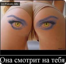 Зоологи рисуют на задницах коров глаза, чтобы защитить их от львов