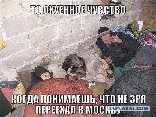 Американская мечта: ожидание и реальность глазами россиянки
