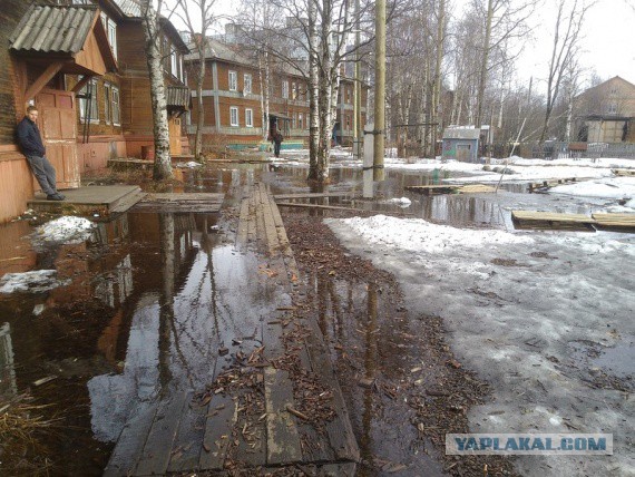 Новые пригороды Петербурга (всё плохо)